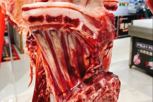 羊肉和什么一起炖最好