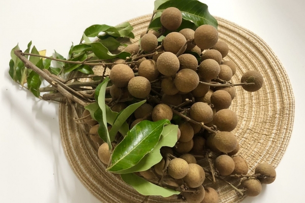 桂圆热量高吗