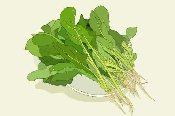 南瓜不能和什么食物一起吃