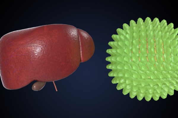 肝炎的症状及表现(图1) 肝炎的症状及表现