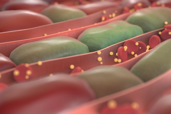 肝炎的症状及表现(图2) 肝炎的症状及表现