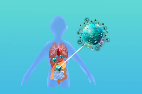 艾滋传播途径(图1) 艾滋传播途径