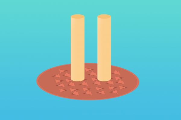 湿热体质冬季如何养生