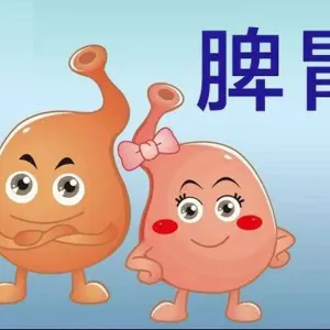 健康食谱,补脾胃活血化淤推荐