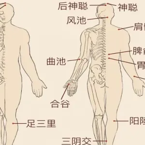 三九贴的作用