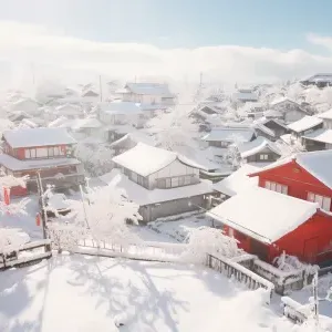 三九天是什么意思