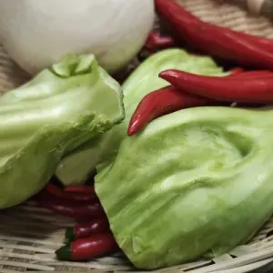 芥菜的功效与作用、禁忌和食用方法