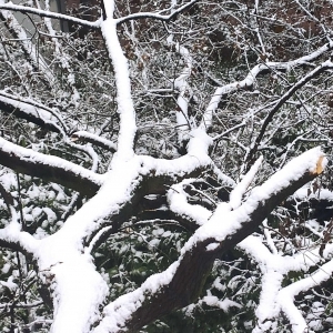 冬季脱发严重怎么办